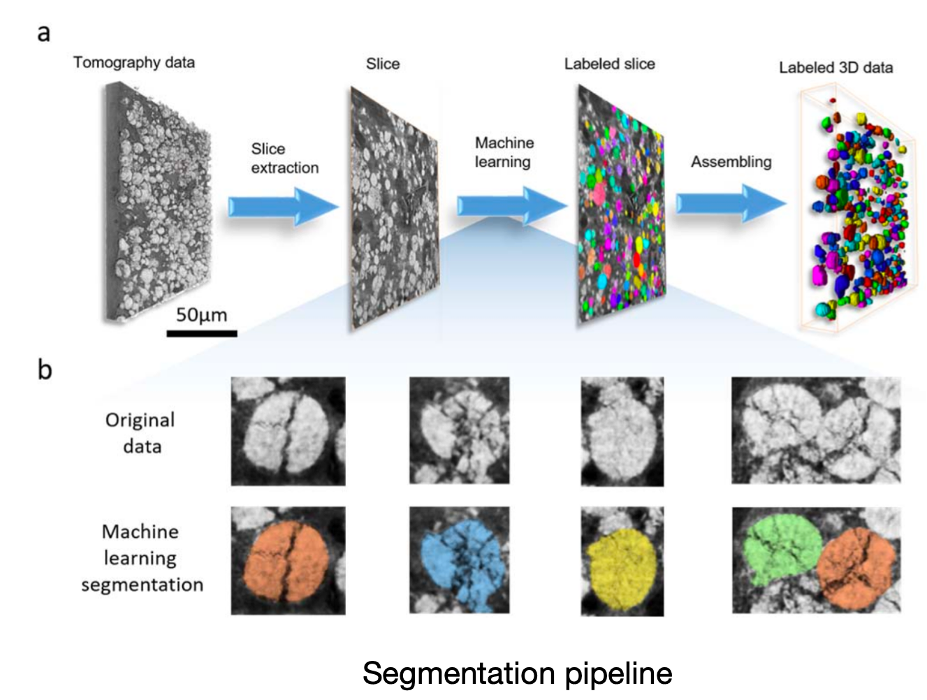 Instance Segmentation Sample