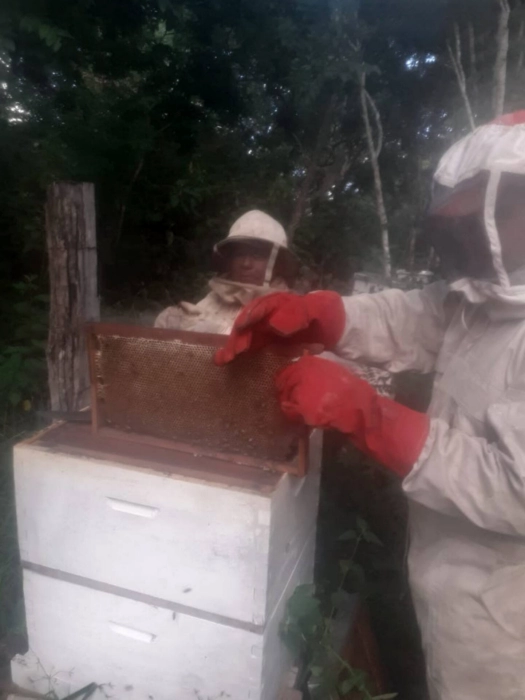 Dulce Progreso: Productores de Potrero San Pablo logran cosecha de alta calidad con apoyo del Gobierno Municipal