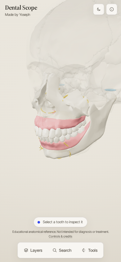 Dental Scope on a phone