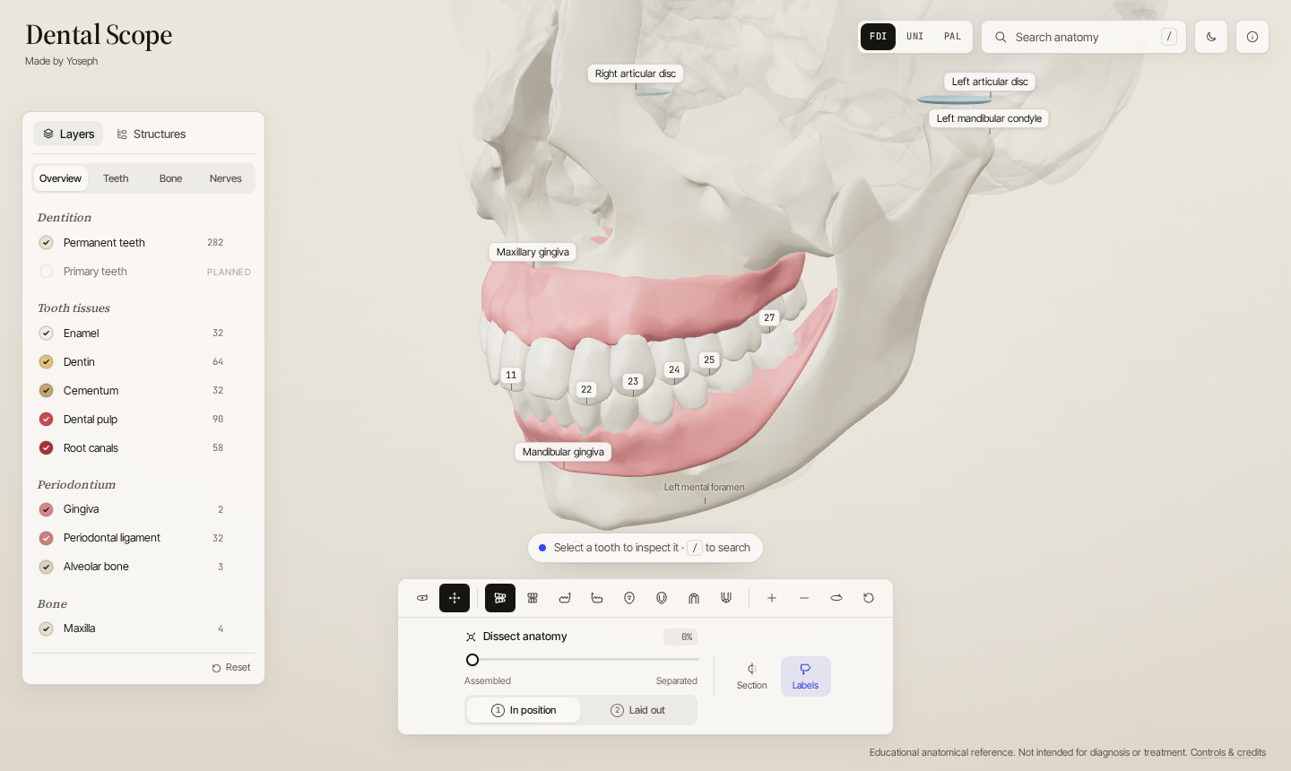 Dental Scope overview