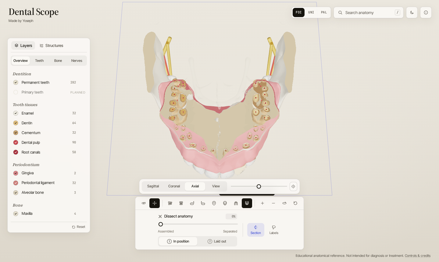 Axial section through the lower crowns