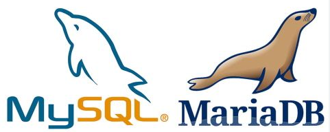 MySQL