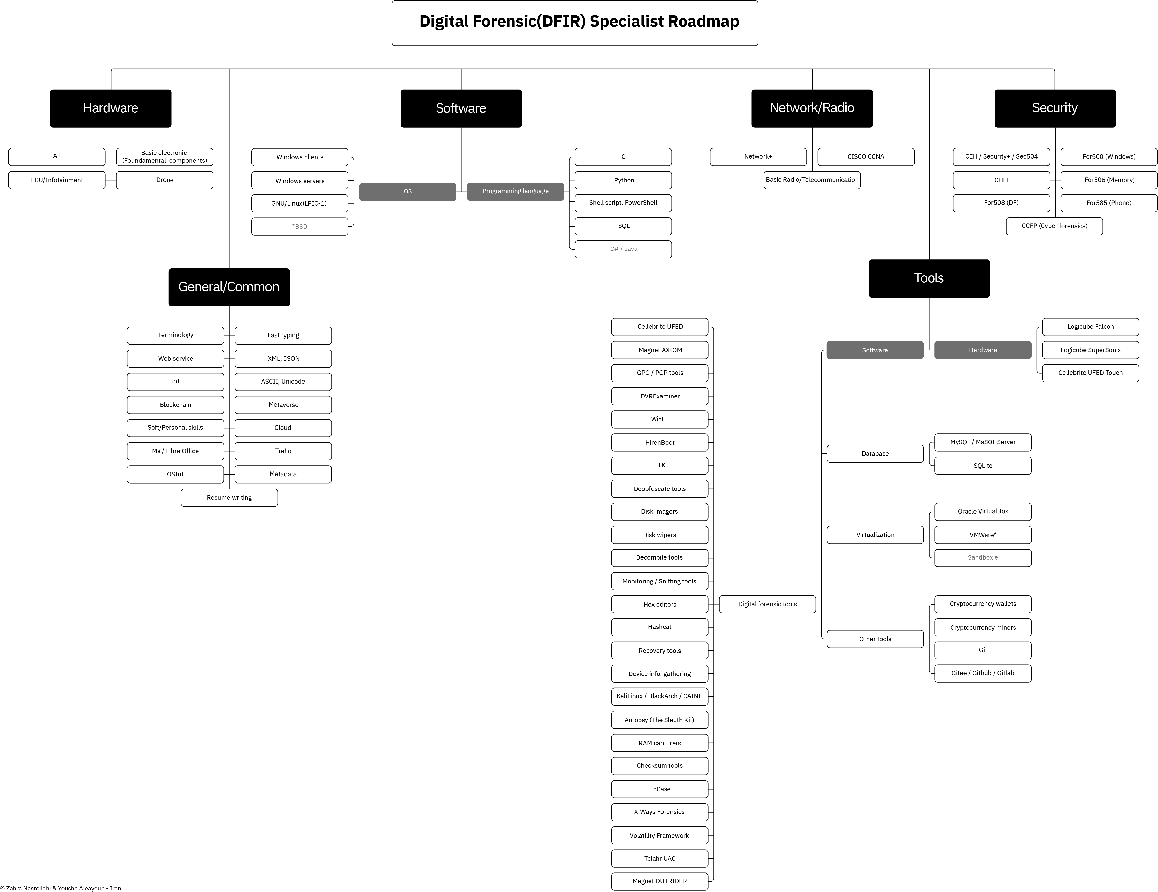 DFIR Specialist Roadmap