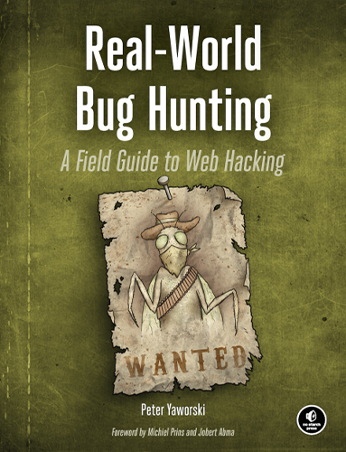 Real World Bug Hunting