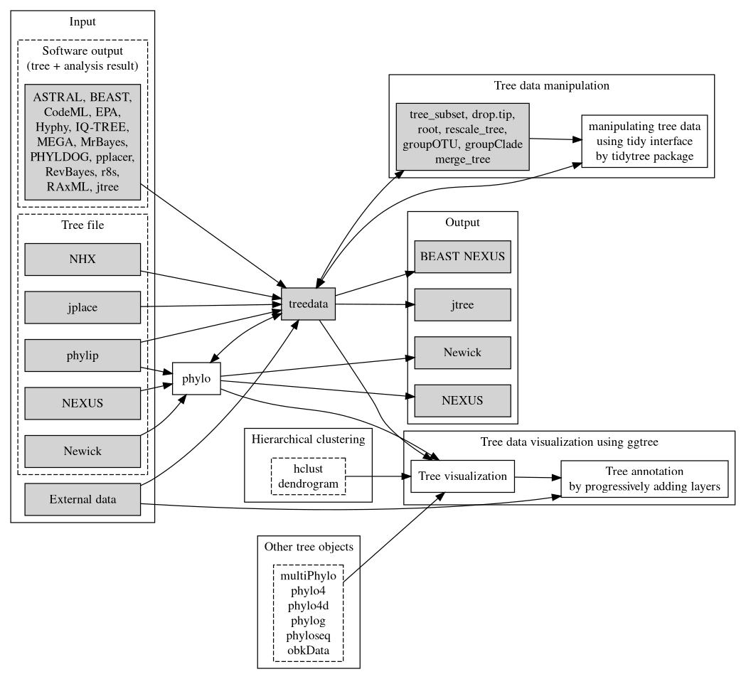 Overview of the treeio package and its relations with tidytree and ggtree. Treeio supports parsing a tree with data from a number of file formats and software outputs. A treedata object stores a phylogenetic tree with node/branch-associated data. Treeio provides several functions to manipulate a tree with data. Users can convert the treedata object into a tidy data frame (each row represents a node in the tree and each column represents a variable) and process the tree with data using the tidy interface implemented in tidytree. The tree can be extracted from the treedata object and exported to a Newick and NEXUS file or can be exported with associated data into a single file (either in the BEAST NEXUS or jtree format). Associated data stored in the treedata object can be used to annotate the tree using ggtree. In addition, ggtree supports a number of tree objects, including phyloseq for microbiome data and obkData for outbreak data. The phylo, multiPhylo (ape package), phylo4, phylo4d (phylobase package), phylog (ade4 package), phyloseq (phyloseq package), and obkData (OutbreakTools package) are tree objects defined by the R community to store tree with or without domain-specific data. All these tree objects as well as hierachical clustering results (e.g., hclust and dendrogram objects) are supported by ggtree.