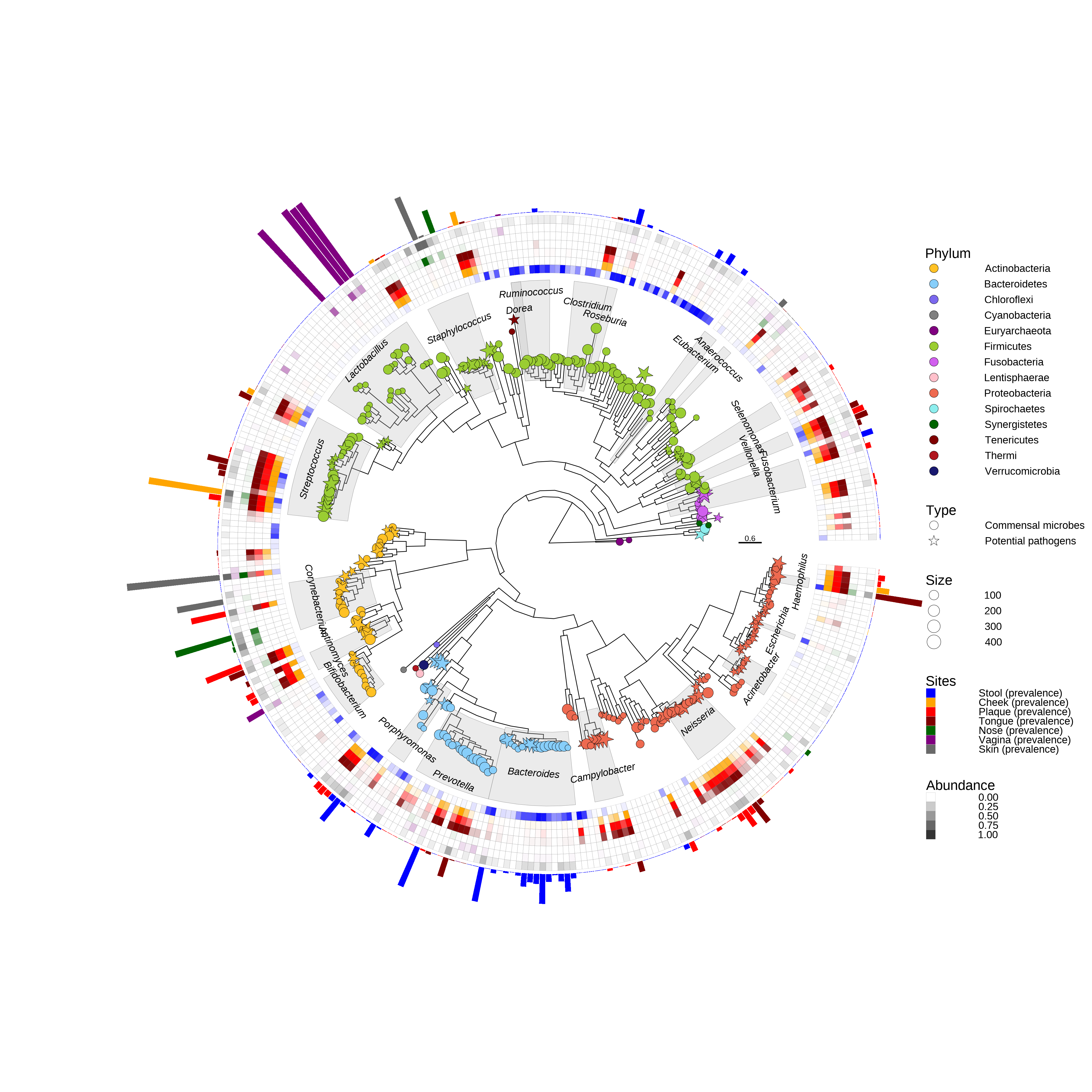 Phylogenetic tree about the abundance of microbes at different sites of human.