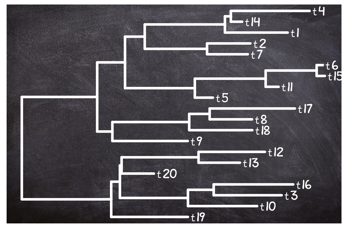 Use image file as tree background.