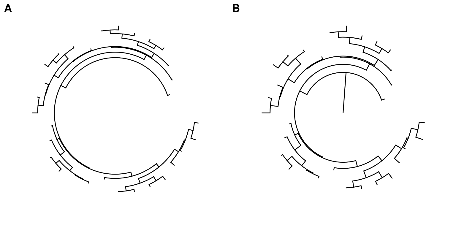 Enlarge center space in circular tree. Allocate more space by xlim (A) or long root branch (B).