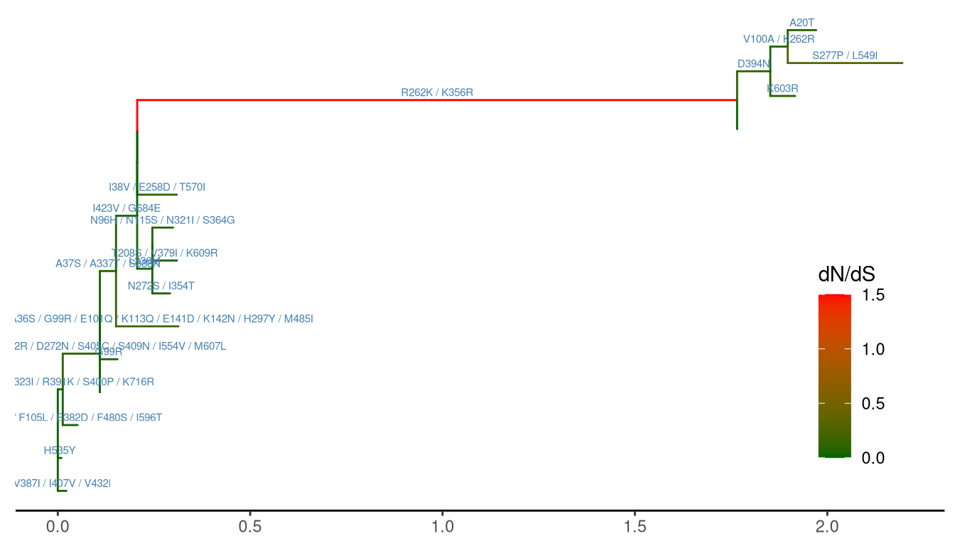 Annotating tree with animo acid substitution and dN/dS inferred by CodeML. Branches were rescaled and colored by dN/dS values and amino acid substitutions were displayed on the middle of branches.