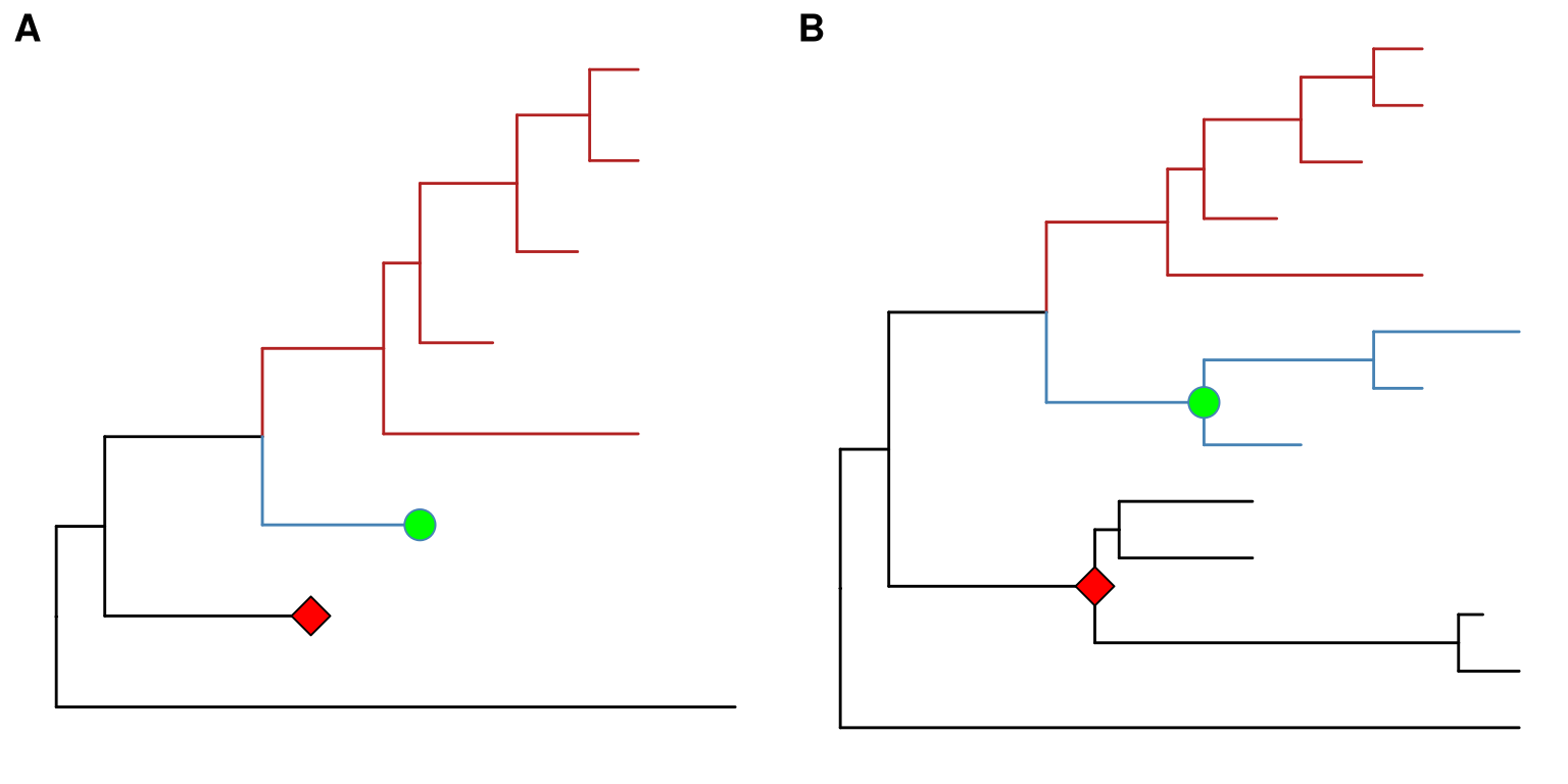 Collapsing selected clades and expanding collapsed clades. Clades can be selected to collapse (A) and the collapsed clades can be expanded back (B) if necessary as ggtree stored all information of species relationships. Green and red symbols were displayed on the tree to indicate the collapsed clades.