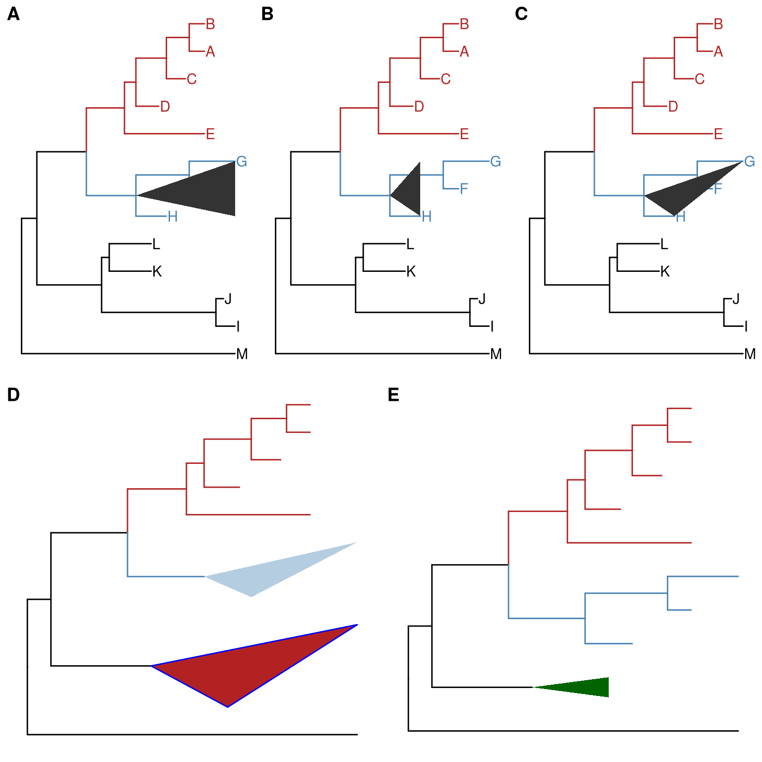 Collapse clade as triangle. ‘max’ takes the position of most distant tip (A). ‘min’ takes the position of closest tip (B). ‘mixed’ takes the positions of both closest and distant tips (C), which looks more like the shape of the clade. Set color, fill and alpha of the triangles (D). Combine with scaleClade to zoom out triangle to save space (E).