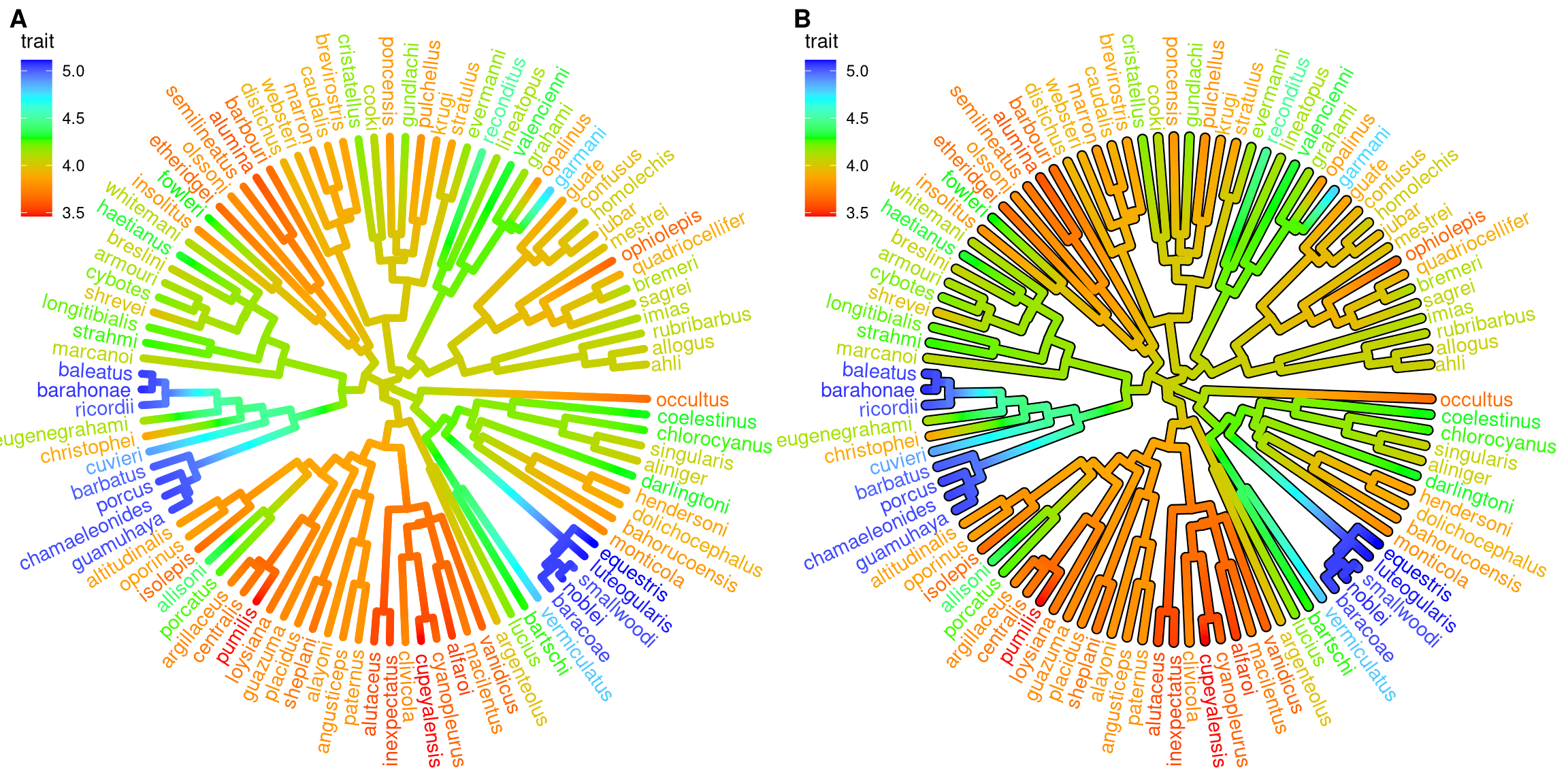 Continuous state transition in edges. Edges are colored by the values from ancestral trait to offspring.