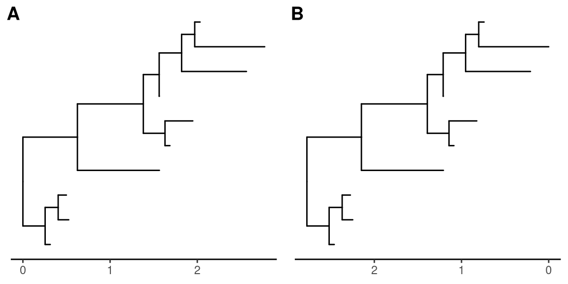 Origin of the time scale. Forward: from the root to tips (A). Backward: from the most distant tip to the root (B).