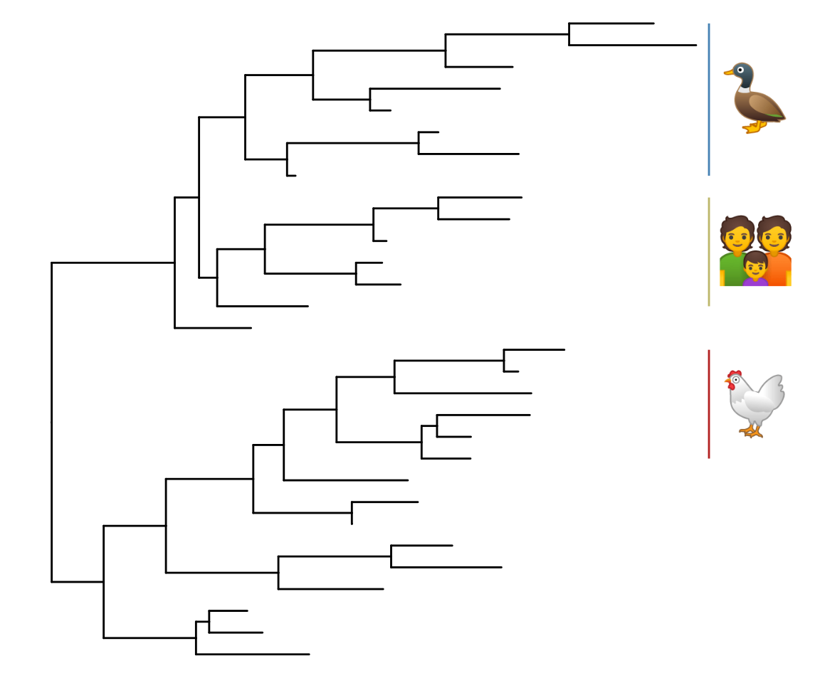 Emoji to label clades.