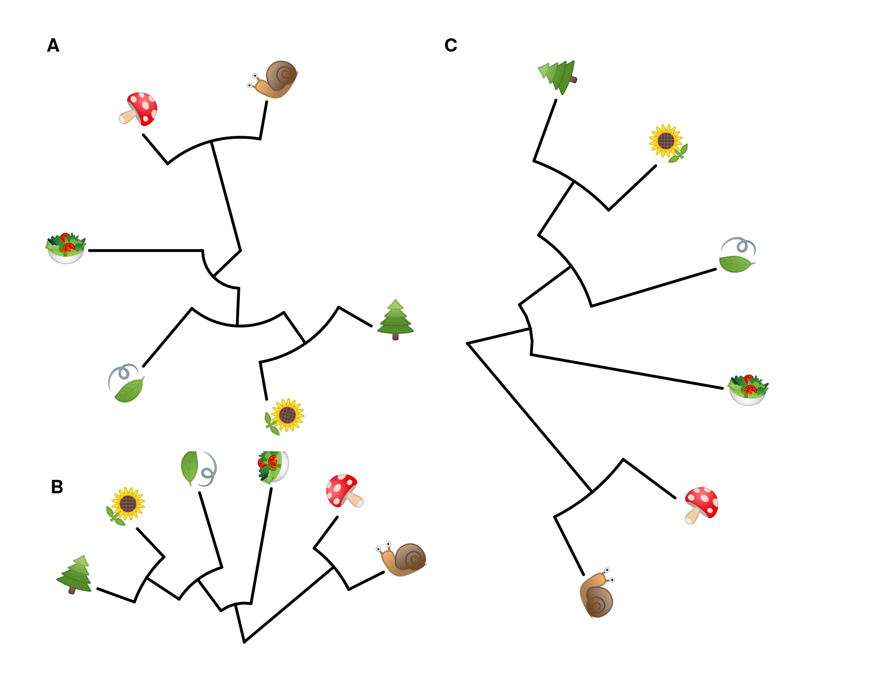 Phylomoji in cirular and fan layouts.