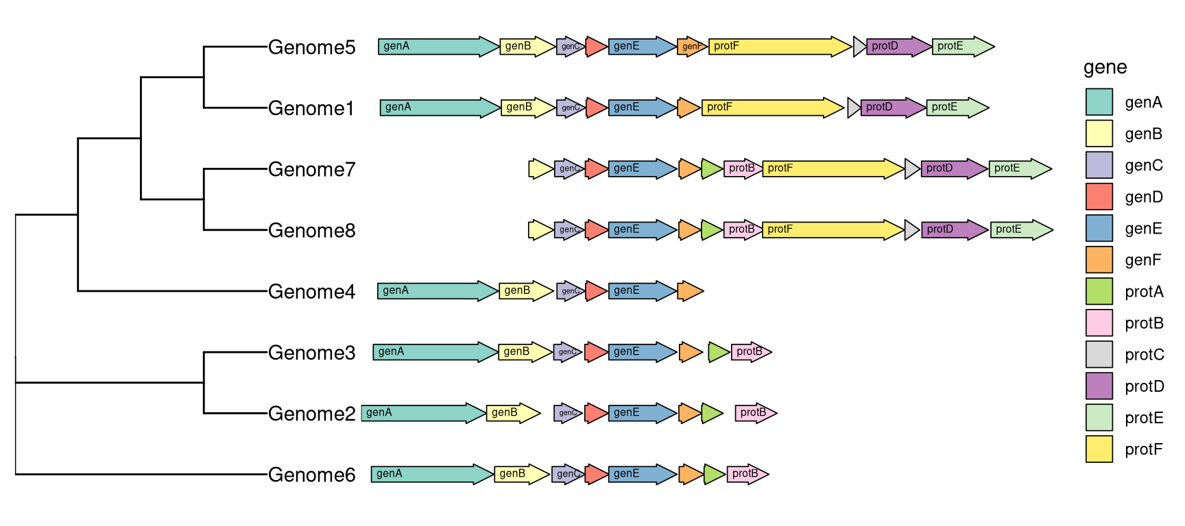 Genomic features with phylogenetic tree.