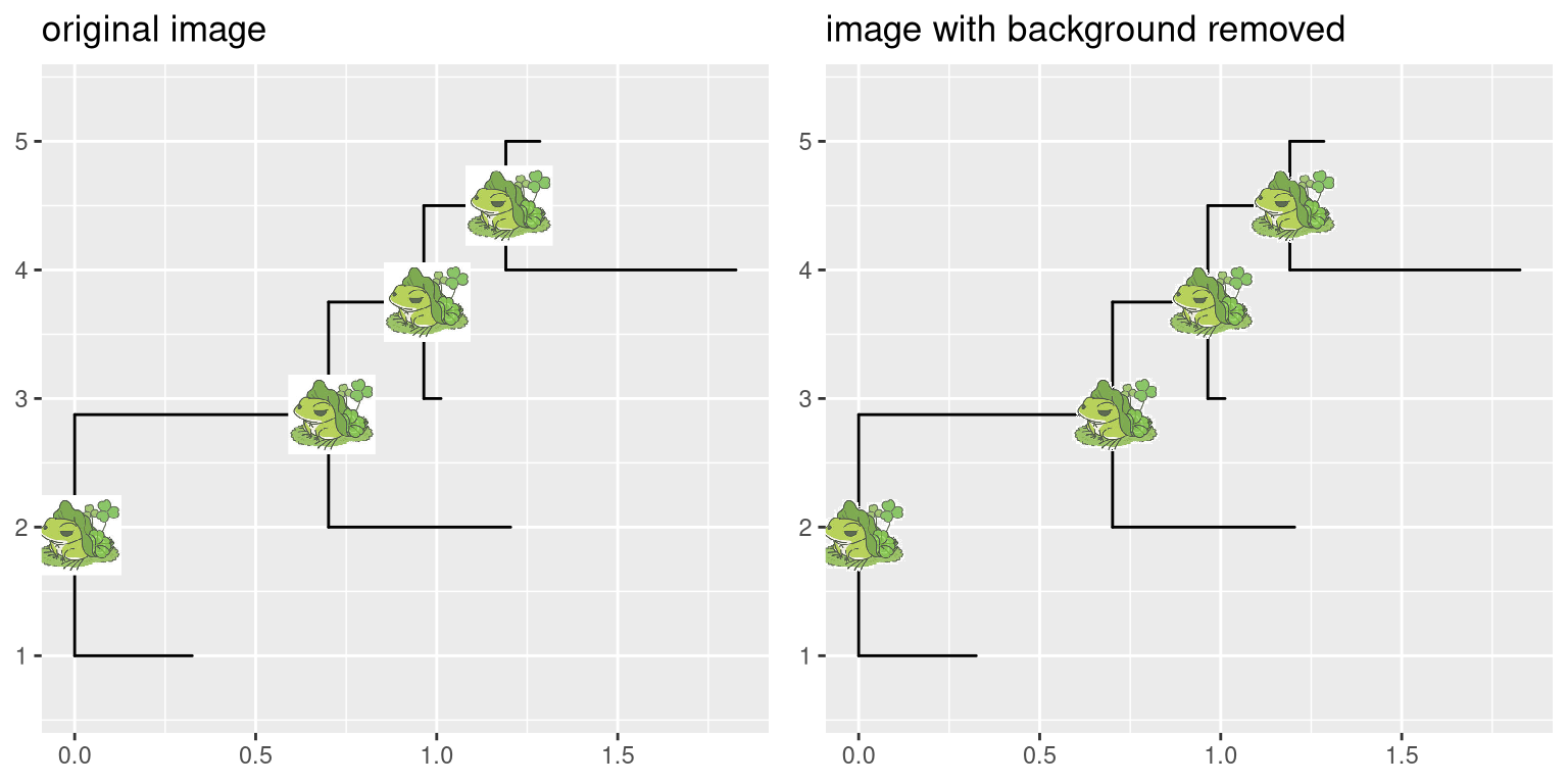 Remove image background. Plotting silhouette images on phylogenetic tree without (A) and with (B) background remove.