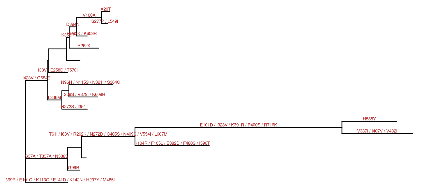 Annotating tree with amino acid substitution determined by ancestral sequences inferred by HYPHY. Amino acid substitutions were displayed on the middle of branches.