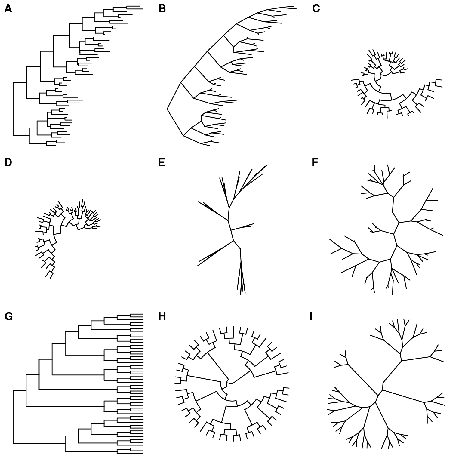 Tree layouts. Phylogram: rectangular layout (A), slanted layout (B), circular layout (C) and fan layout (D). Unrooted: equal-angle method (E) and daylight method (F). Cladogram: rectangular layout (G), circular layout (H) and unrooted layout (I). Slanted and fan layouts for cladogram are also supported.