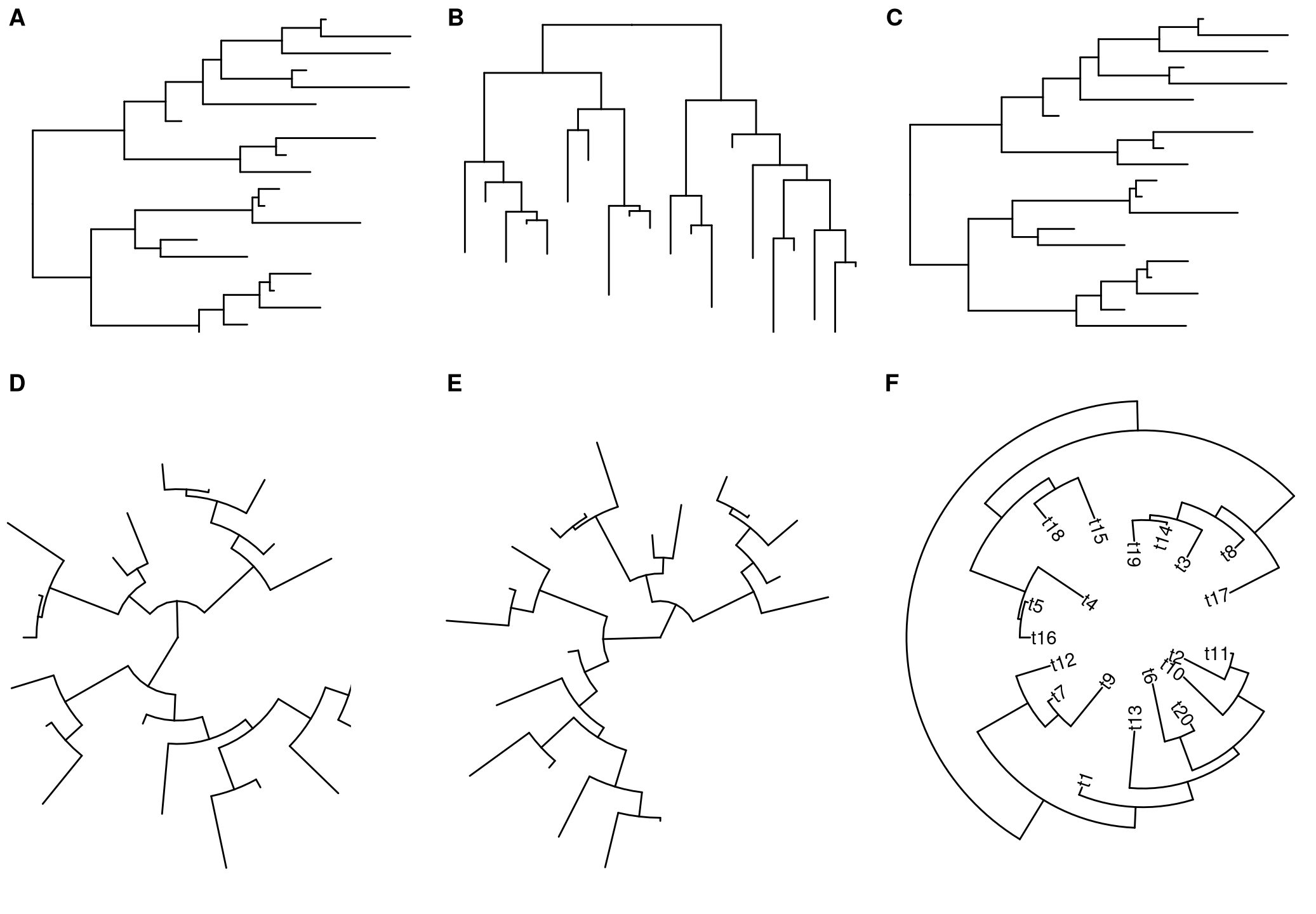 Layout layers for transforming among different layouts. Default rectangular layout (A); transform rectangular to dendrogram layout (B); transform circular to rectangular layout (C); transform rectangular to circular layout (D); transform rectangular to fan layout (E); transform rectangular to inward circular layout (F).