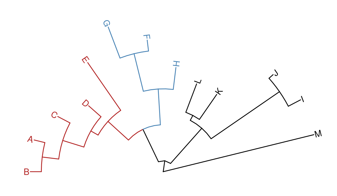 Transforming a tree to fan layout. A tree can be transformed to fan layout by open_tree with specific angle parameter.