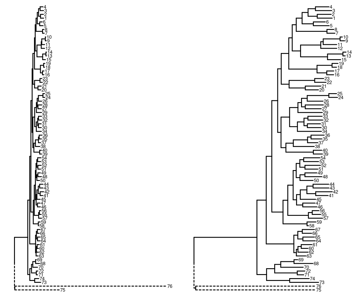 Changing branch length of outgroup. Original tree (A) and reduced outgroup branch length version (B).