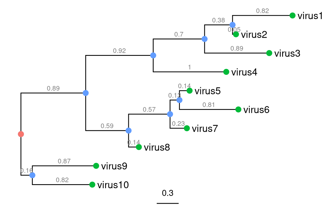 Components of a phylogenetic tree. External nodes (green circles), also called ‘tips’, represent actual organisms sampled and sequenced (e.g., virus in infectious disease research). They are the ‘taxa’ in the terminology of evolutionary biology. The internal nodes (blue circles) represent hypothetical ancestors for the tips. The root (red circle) is the common ancestor of all species in the tree. The horizontal lines are branches and represent evolutionary changes (grey number) measured in unit of time or genetic divergence. The bar at the bottom provides the scale of these branch lengths.