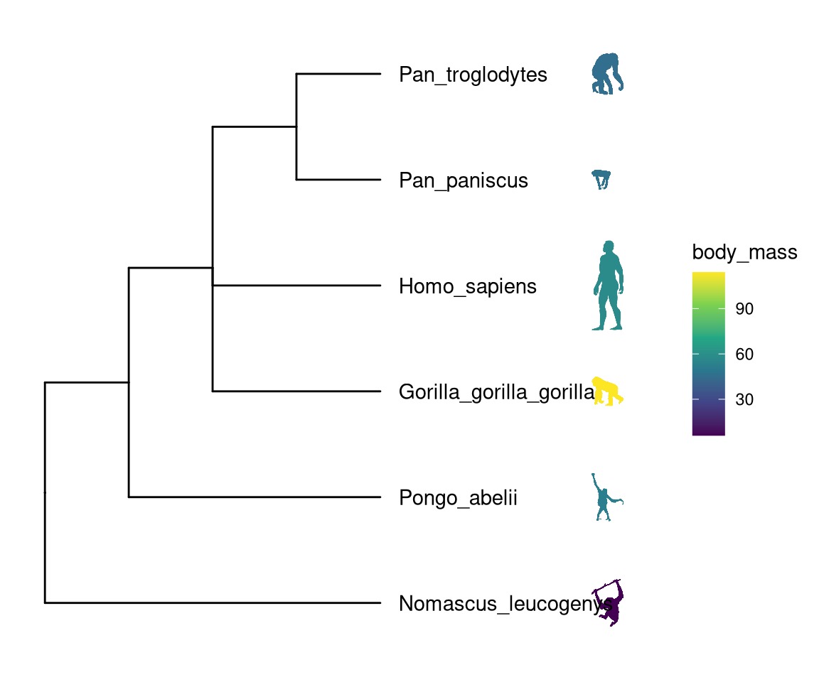 (ref:phylopiccap)