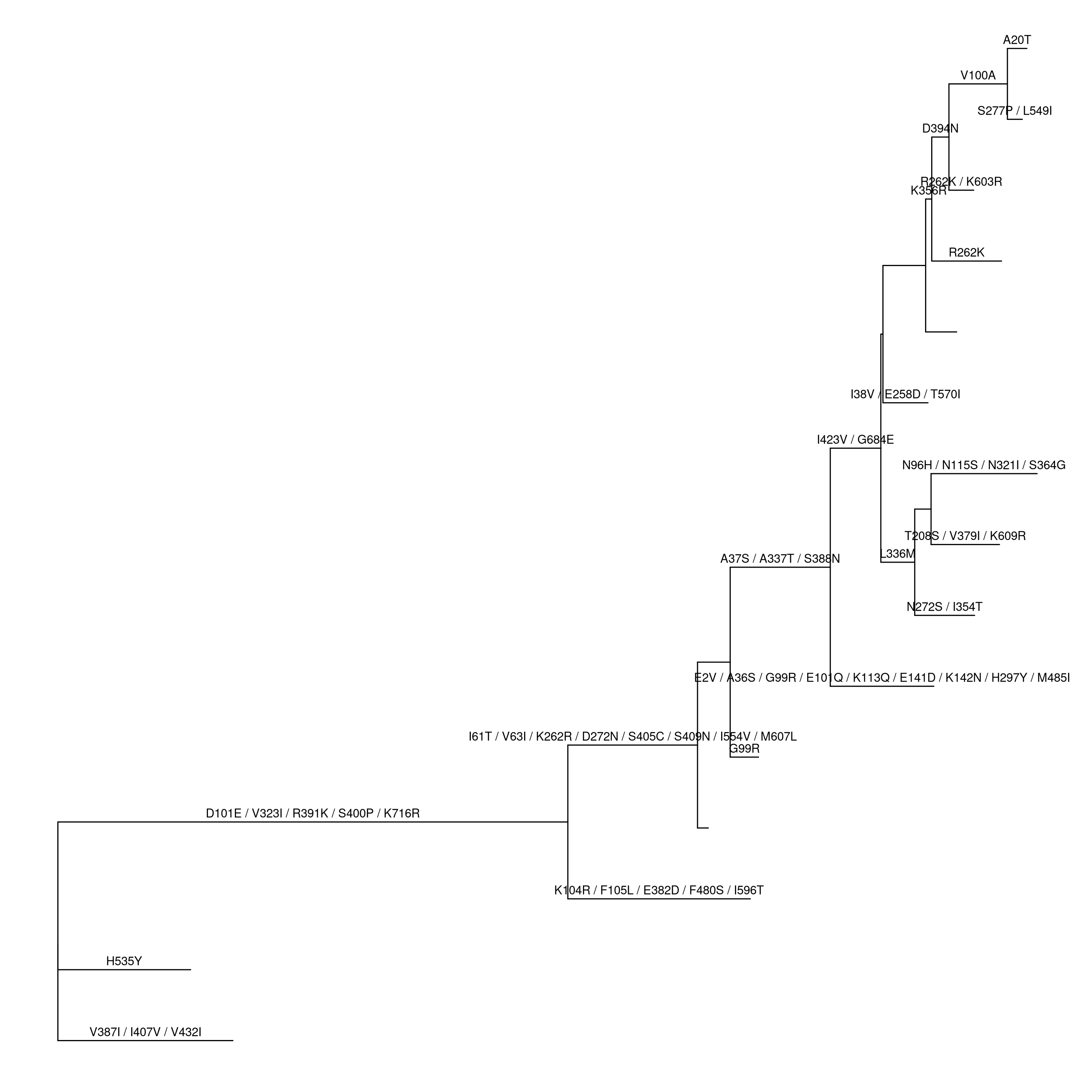 Converting pml object to treedata object.