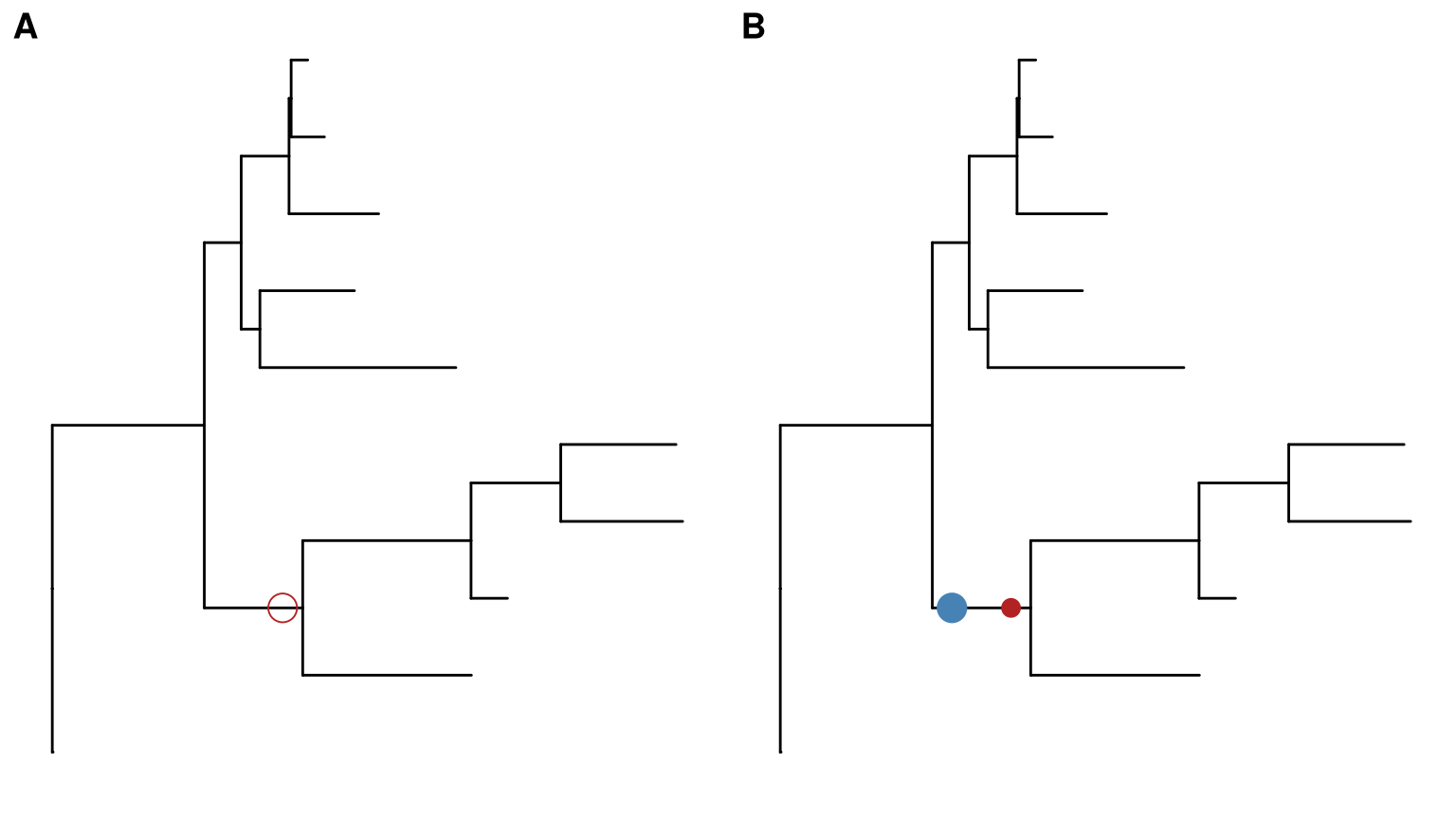 Add an arbitrary point on a branch.