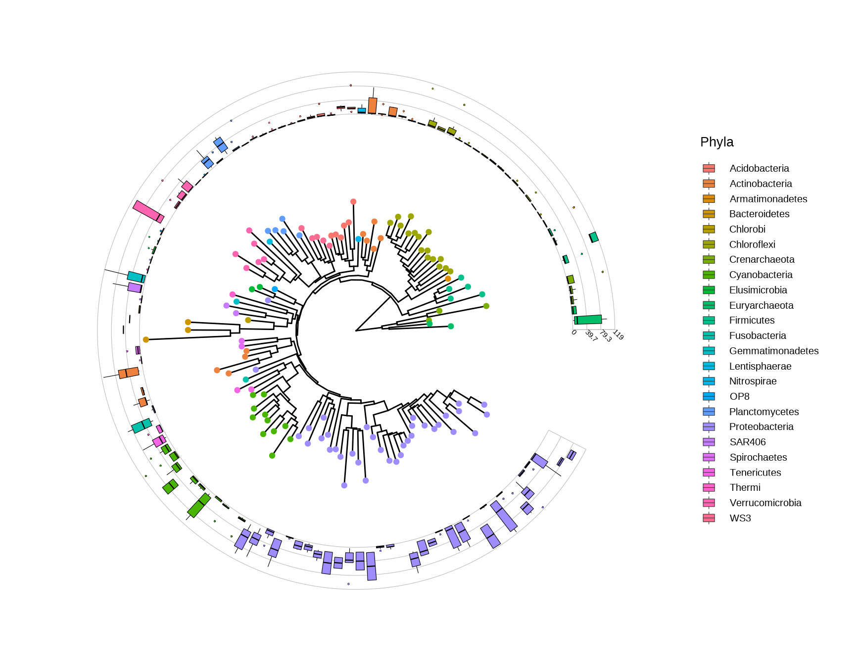 Phylogenetic tree with OTU abundance distribution.