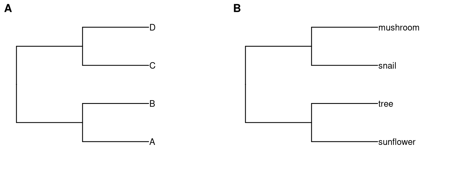 Alternative tip labels. Original tip lables (A) and modified version (B).