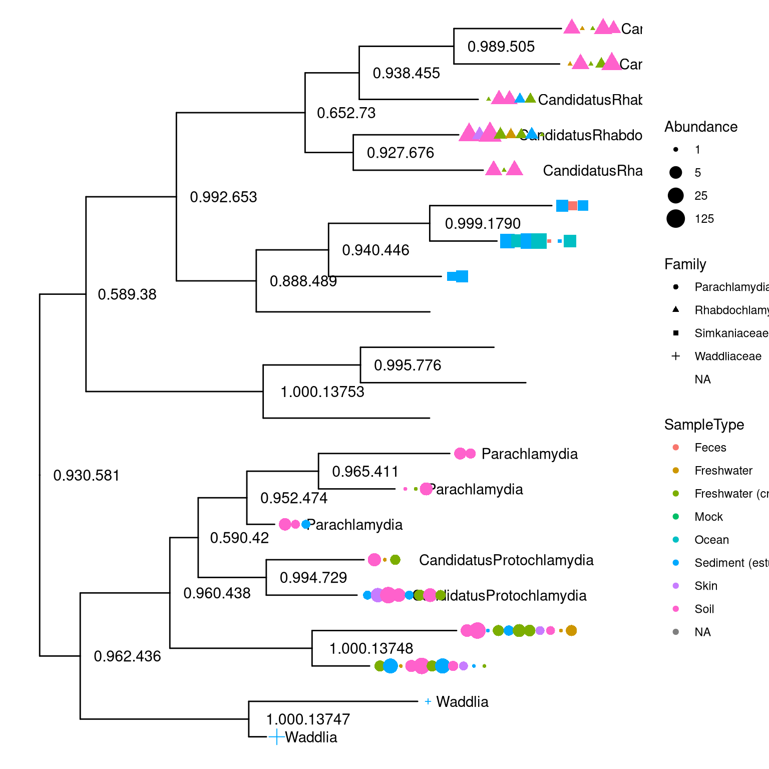 Visualizing phyloseq tree object.