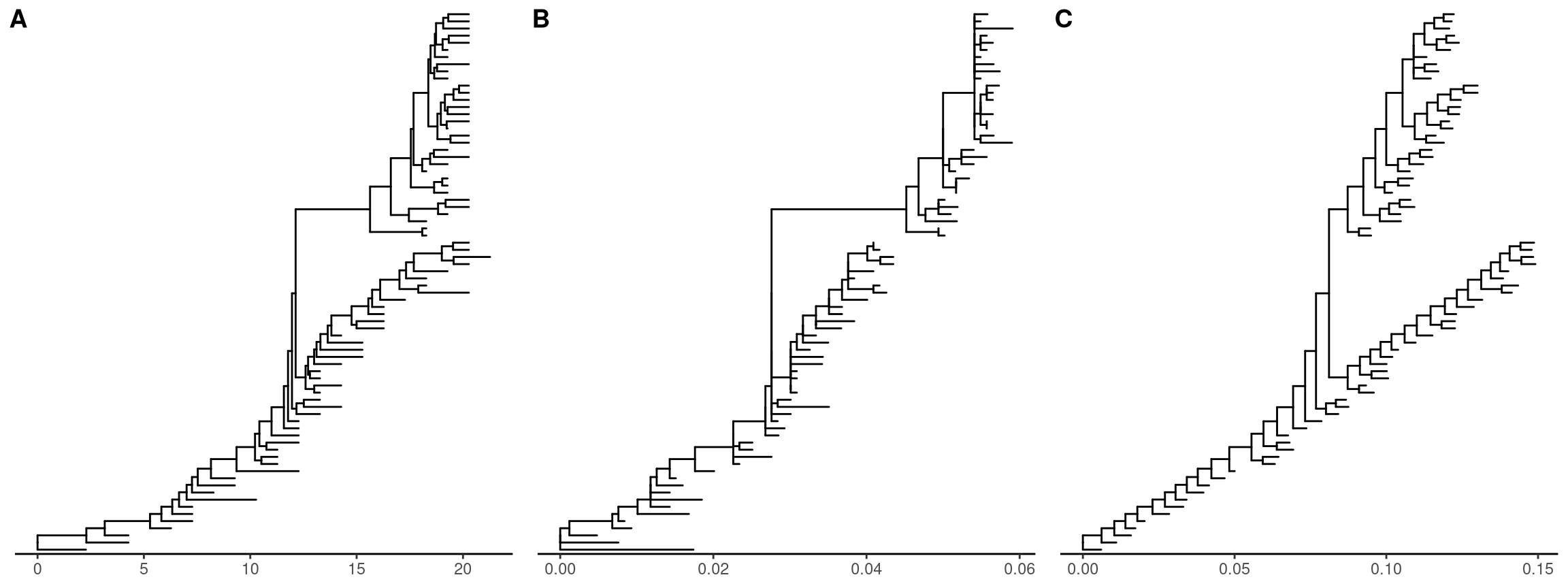 Re-scaling tree branches. The tree with branches scaled in time (year from the root) (A). The tree was re-scaled using dN as branch lengths (B). The tree was re-scaled using substitution rates (C).