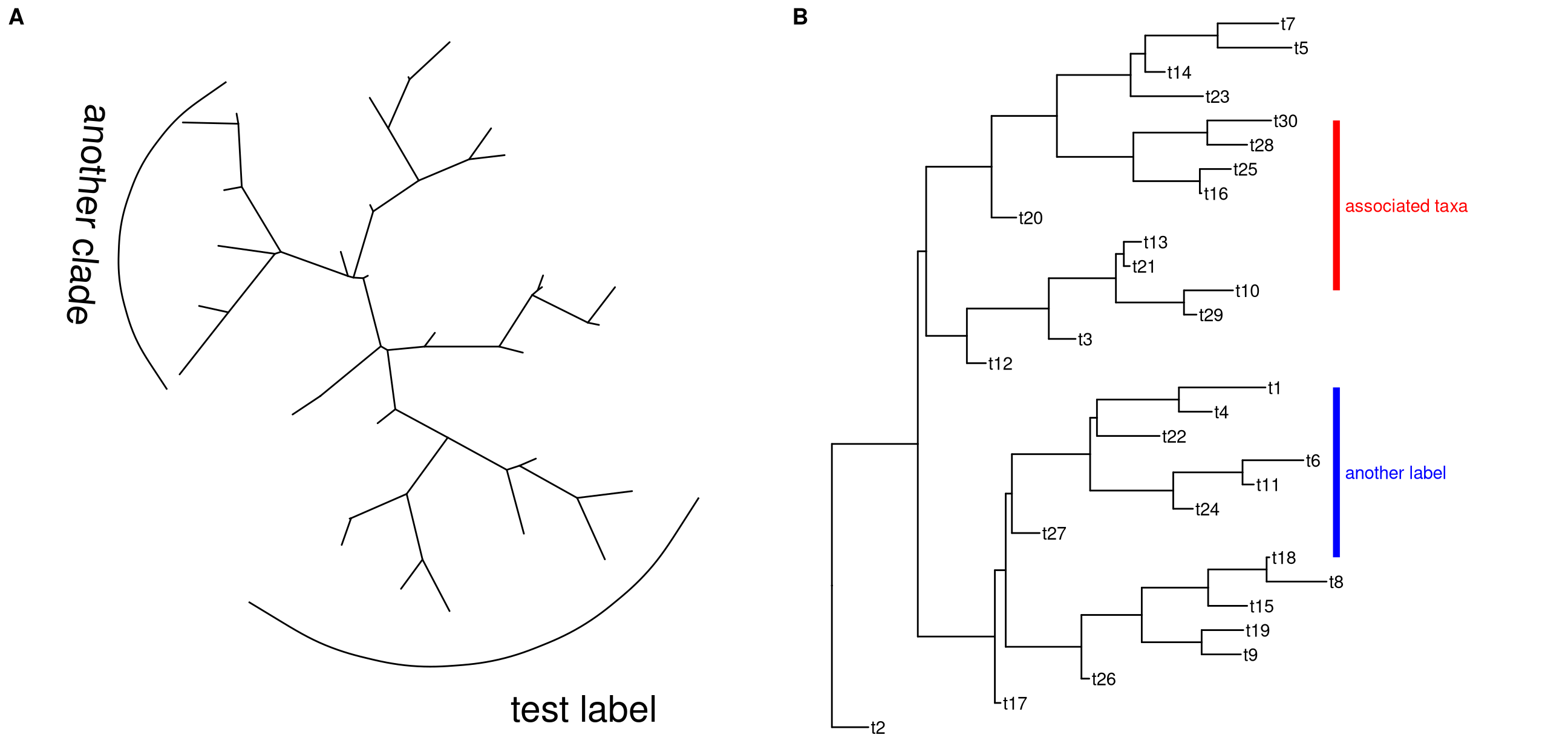 Labeling associated taxa. geom_cladelabel is for labeling Monophyletic and it also supports unrooted layout (A). geom_strip is designed for labeling associated taxa (Monophyletic, Polyphyletic or Paraphyletic) (B).