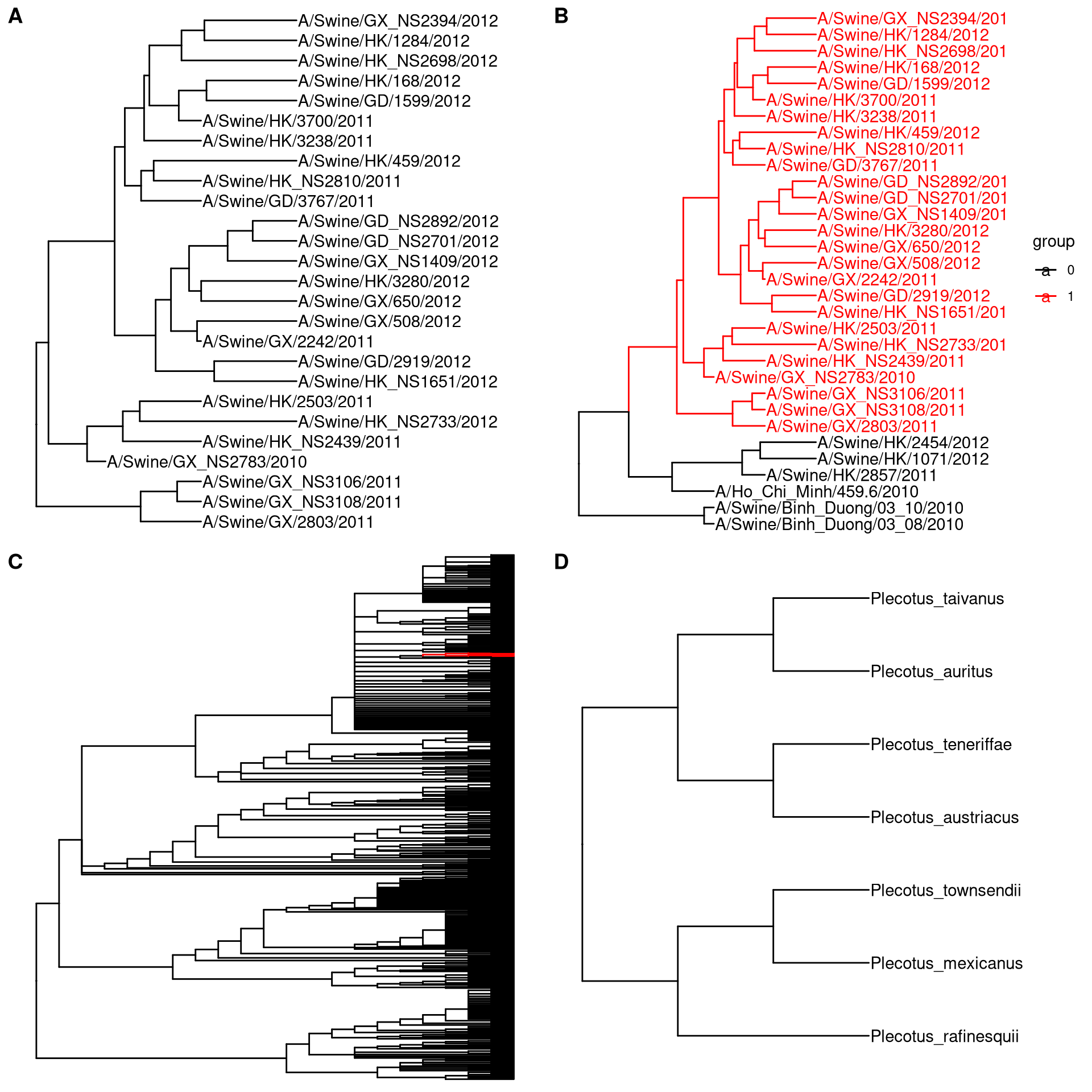 Subsetting tree for specific clade. Extracting a clade (A). Extracting a clade and trace back to look at its immediate relatives (B). Viewing a very large tree (C) and a selected portion of it (D).