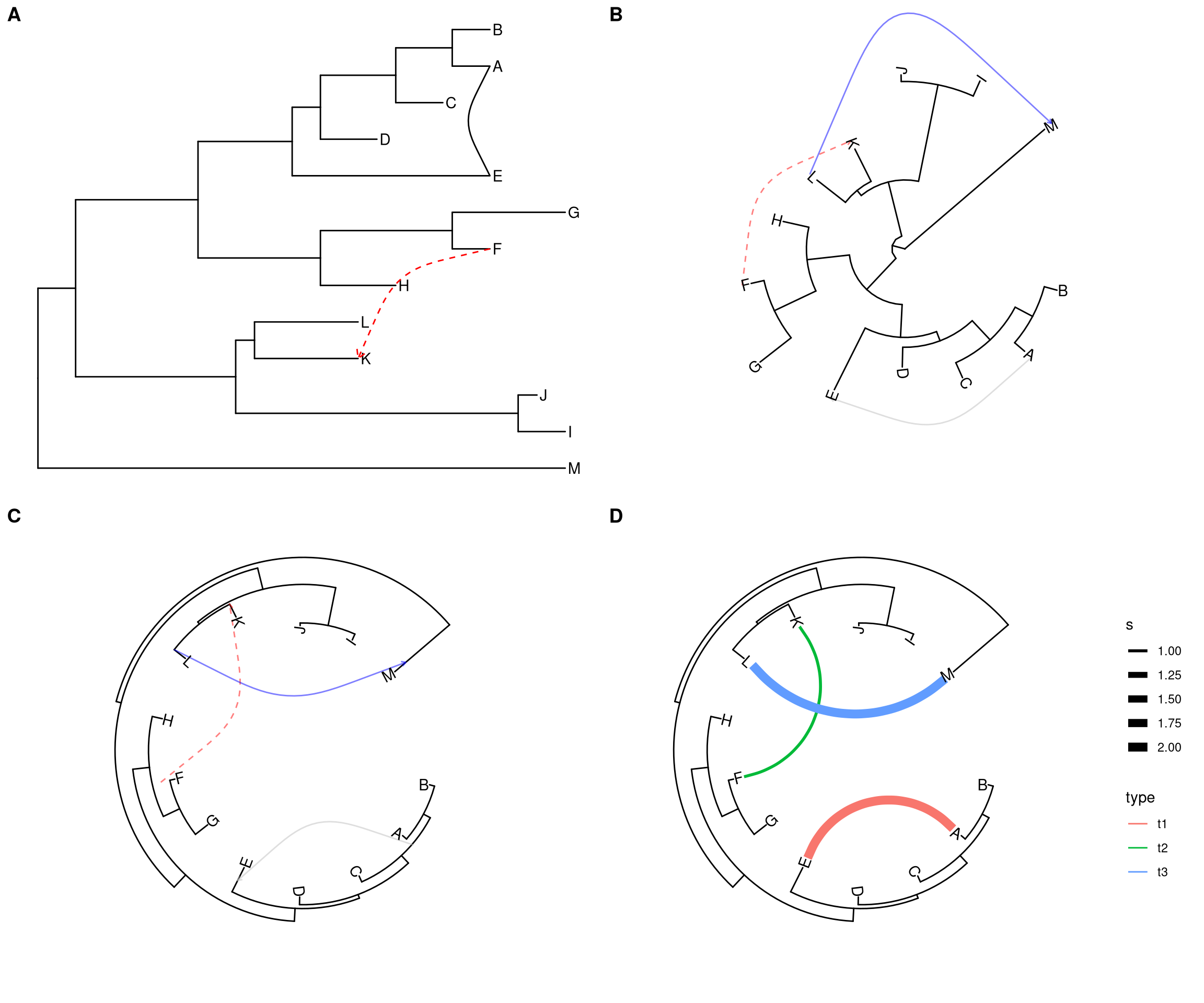 Linking related taxa. This can be used to indicate evolutionary events such as reassortment and horizontal gene transfer.