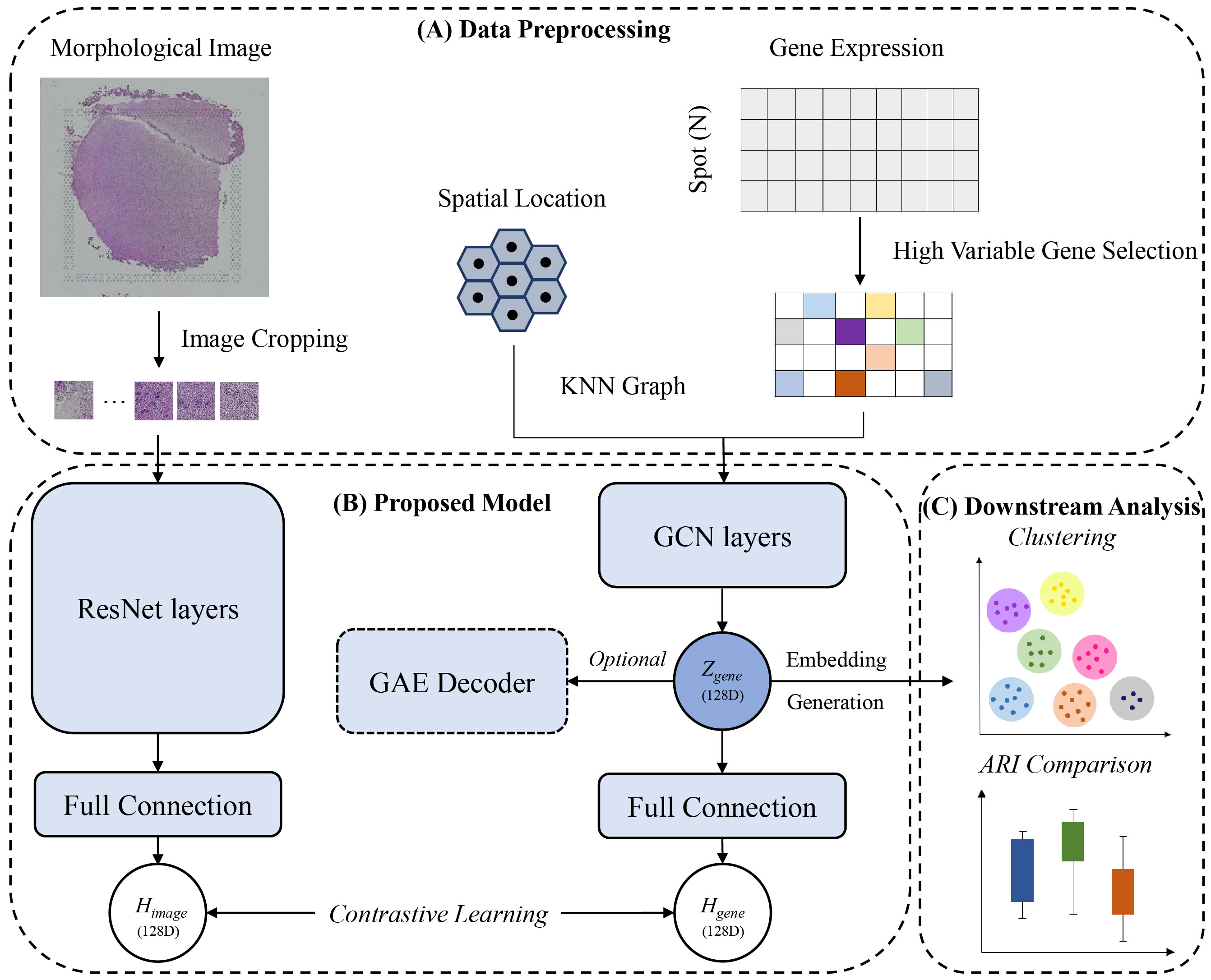 Spatial-ConGR workflow