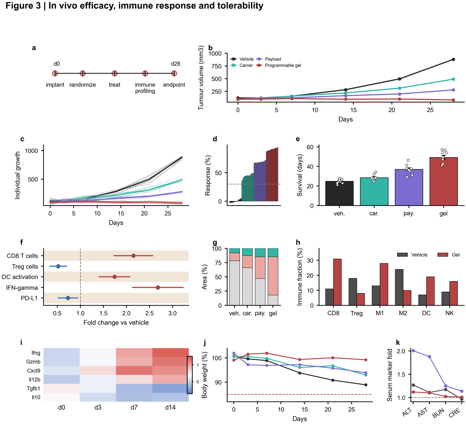 In vivo efficacy and tolerability