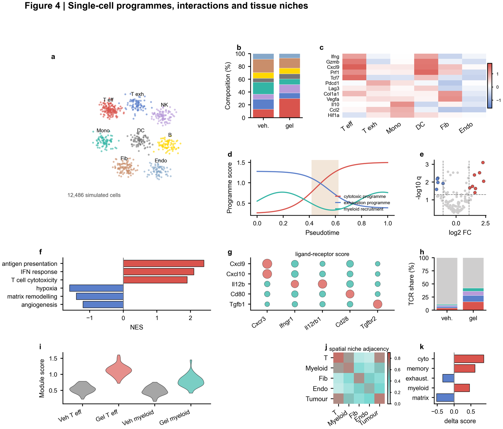 Single-cell systems figure