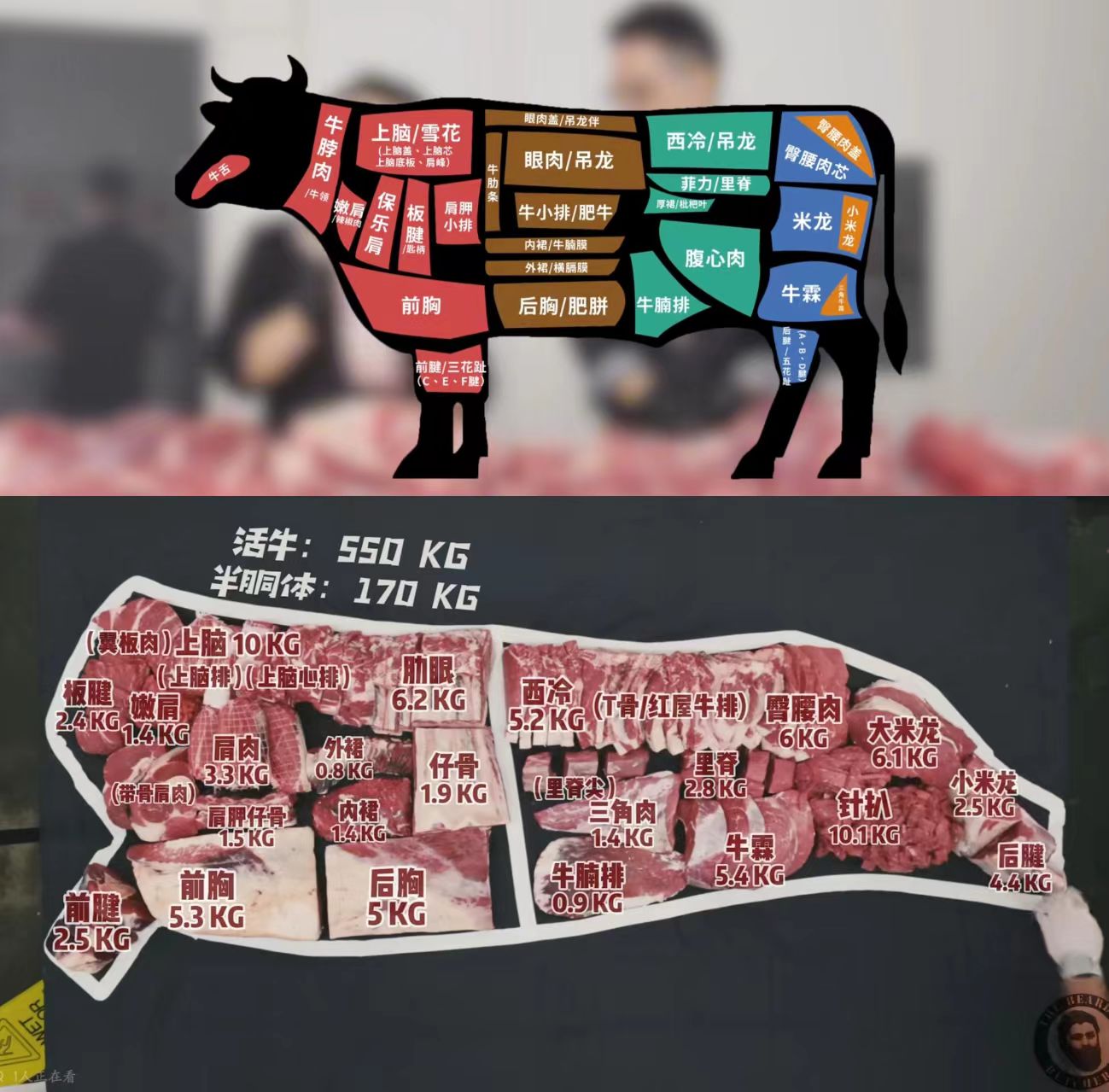 牛肉部位拆解图