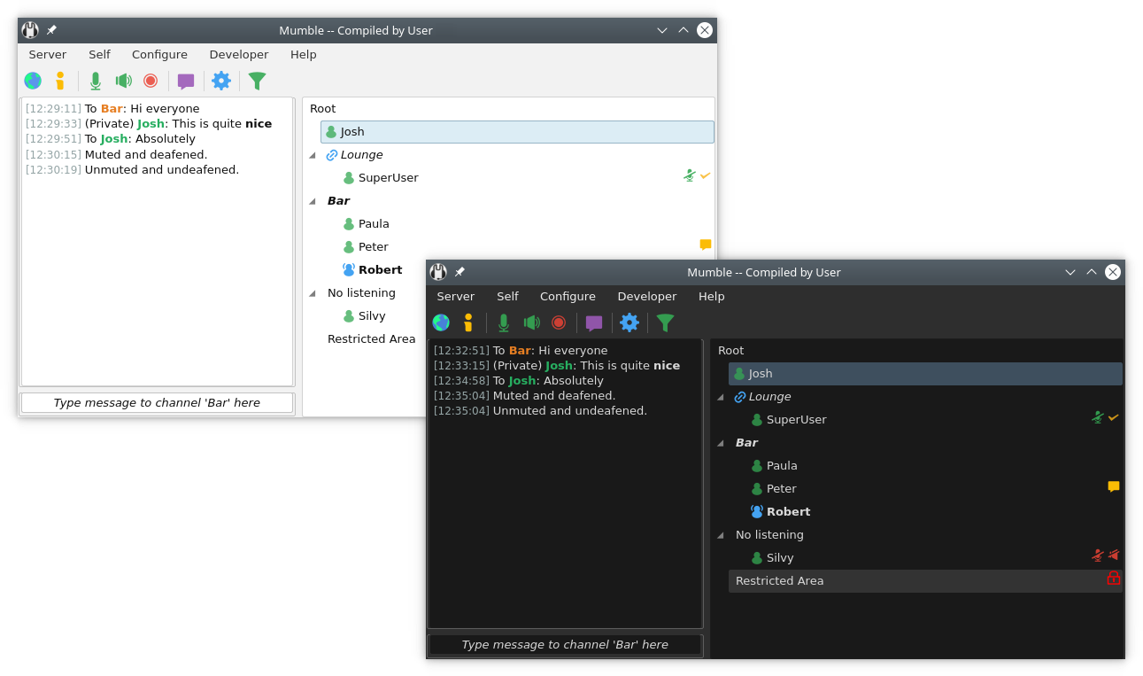 Screenshot of Mumble Server