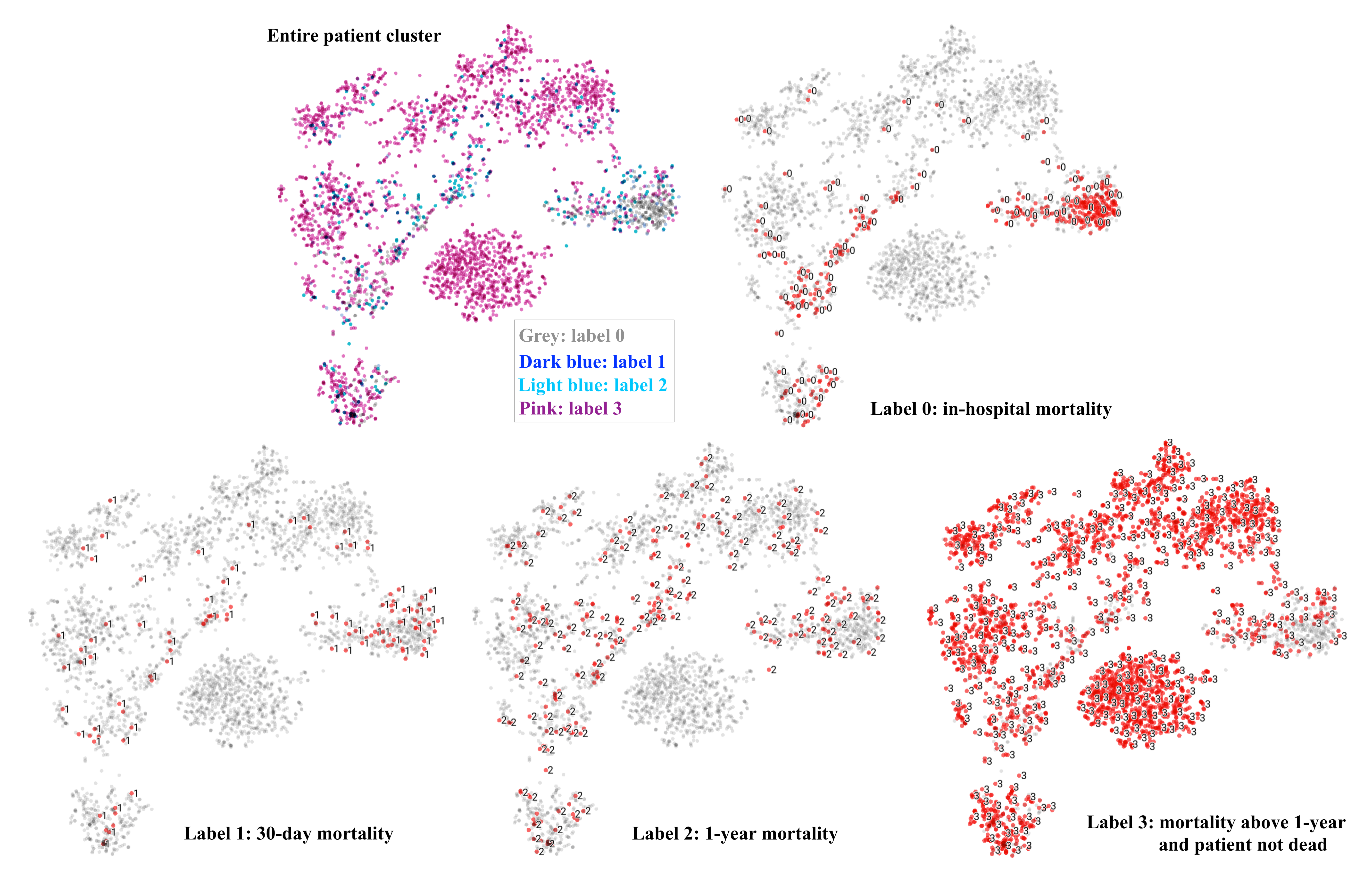 tSNE visualization of 3-task patient distributed representation.