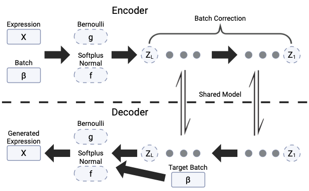 CytoOne model overview