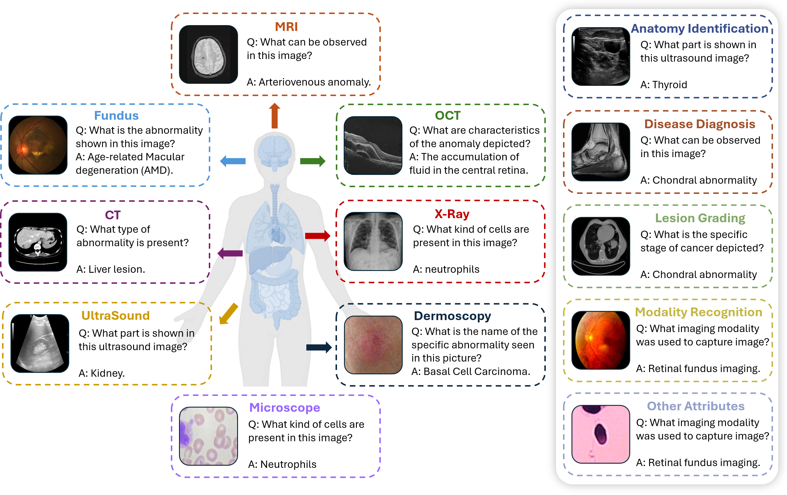 Overview of Modalities and Tasks