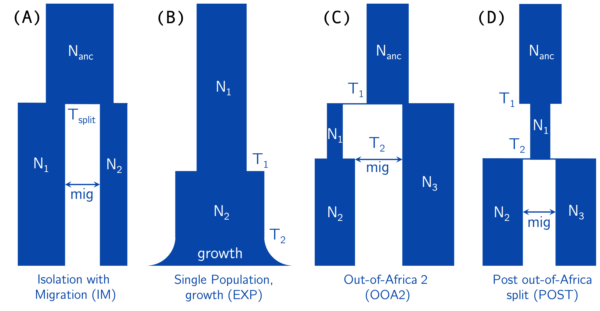 Demographic Models