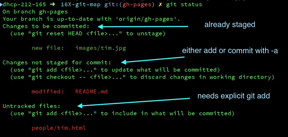 git status