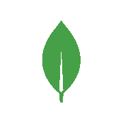 MongoDB