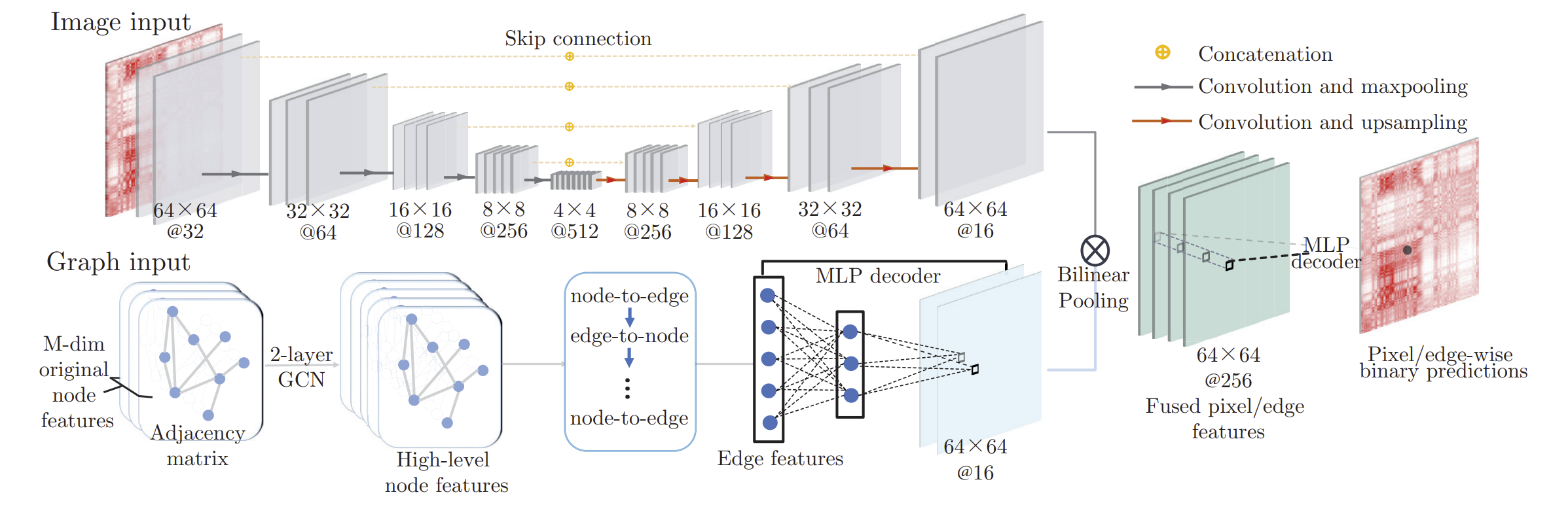 Model architecture