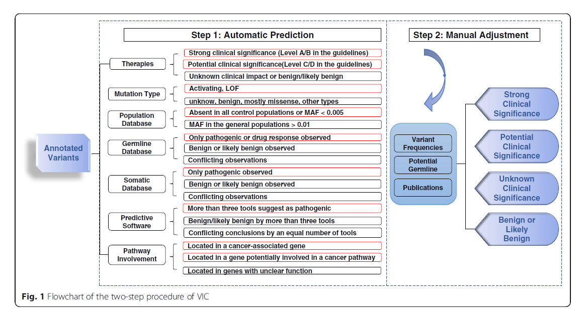 vic_flowchart